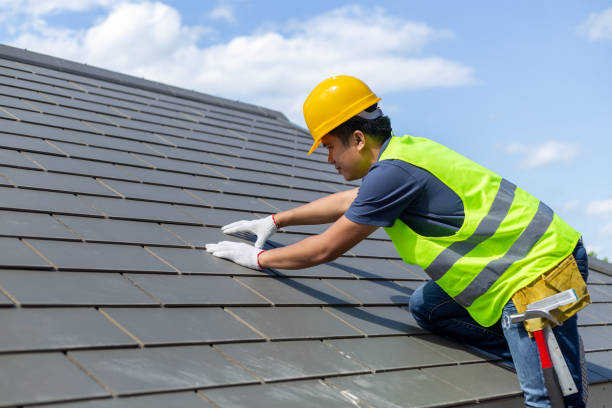 Best Roof Gutter Cleaning  in Warren Af, WY
