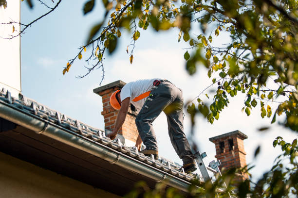 Roof Gutter Cleaning in Warren Af, WY