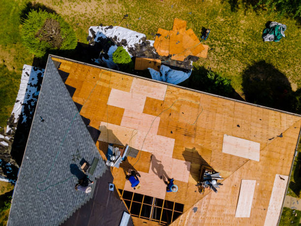 Best Roof Restoration Services  in Warren Af, WY