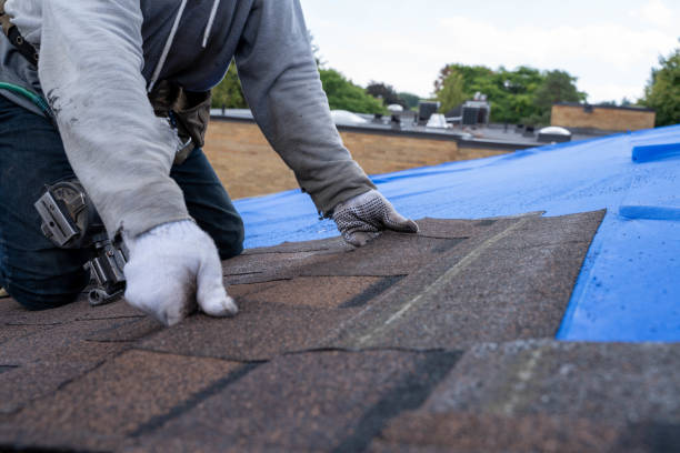 Best Commercial Roofing Services  in Warren Af, WY