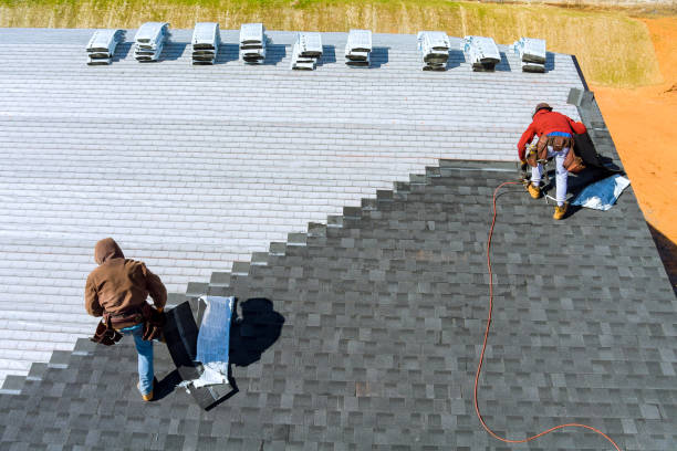 Best Roof Gutter Cleaning  in Warren Af, WY