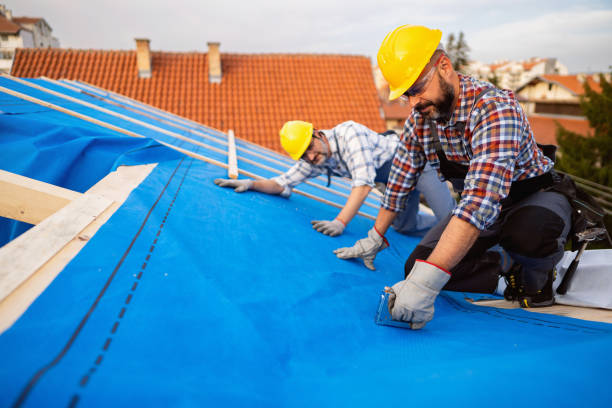 Best Affordable Roofing Company  in Warren Af, WY