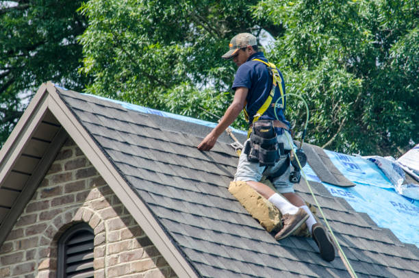 Best Roof Inspection Near Me  in Warren Af, WY